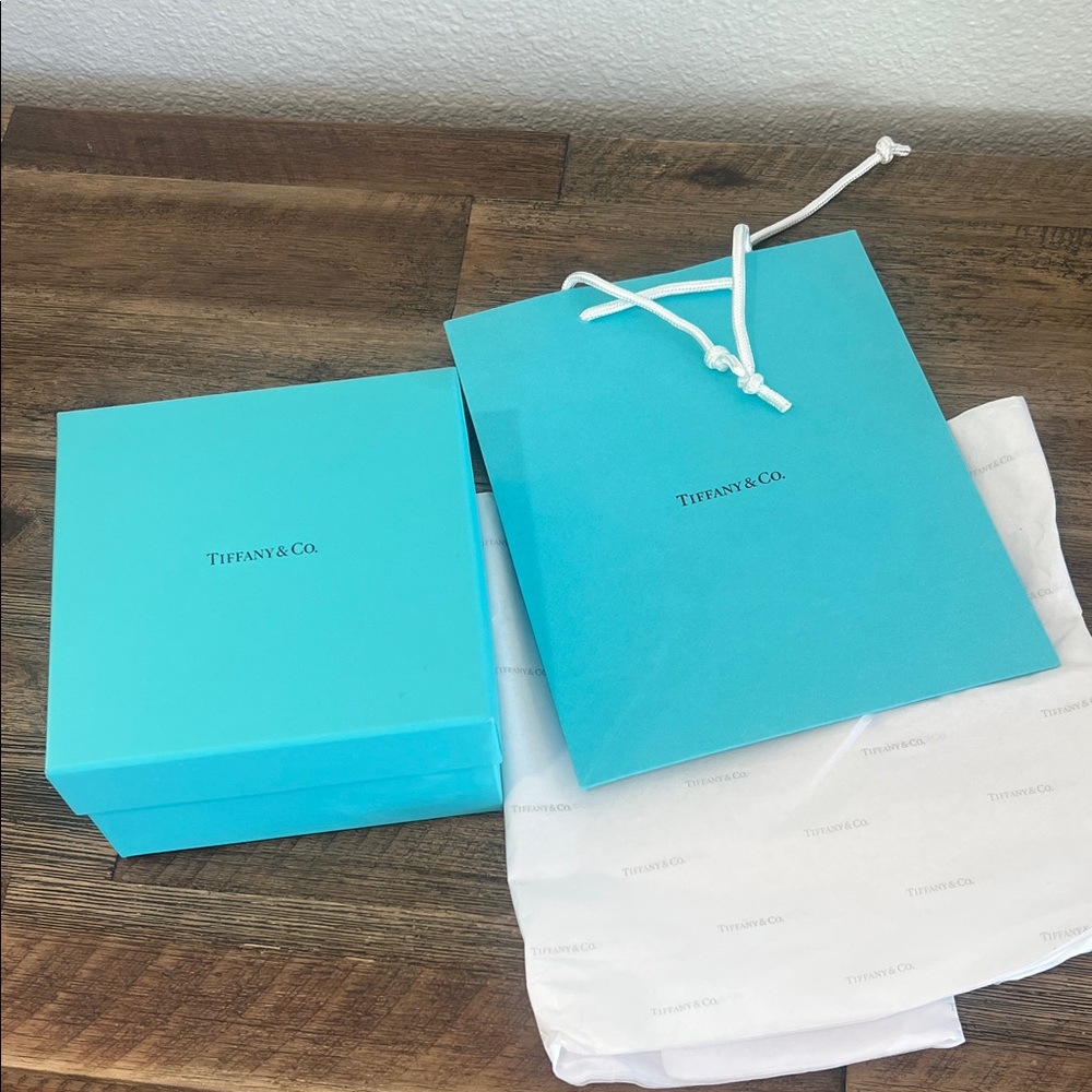 Tiffany & Co. Turquoise Box and Bag Set